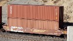 BNSF (BEEF) 239718